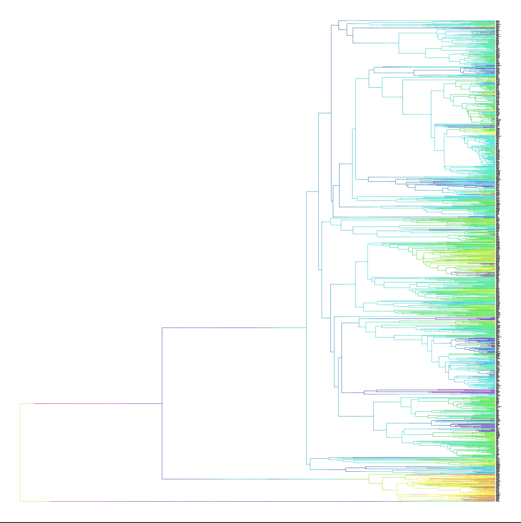 Mammals stochastic map